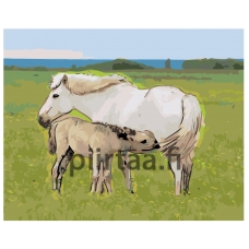 Maalaa numeroilla Z-Z1012273