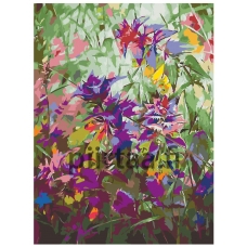 Maalaa numeroilla Z-Z10126