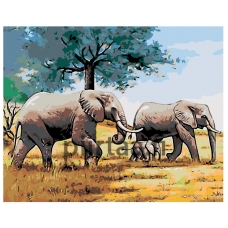 Maalaa numeroilla Z-Z101276