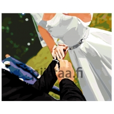 Maalaa numeroilla Z-Z101430