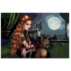 Maalaa numeroilla Z-Z101793