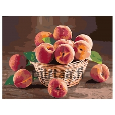 Maalaa numeroilla Z-Z101958