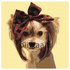 Maalaa numeroilla Z-Z38382