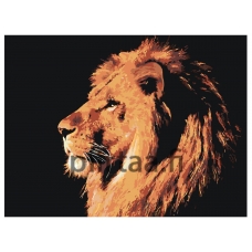 Maalaa numeroilla Z-Z4020