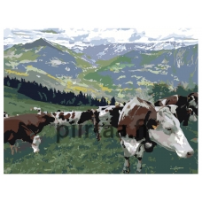 Maalaa numeroilla Z-Z4027