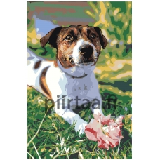 Maalaa numeroilla Z-Z42082