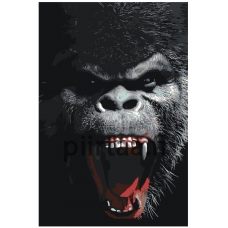 Maalaa numeroilla Z-Z4241