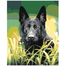 Maalaa numeroilla Z-Z4269