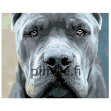 Maalaa numeroilla Z-Z4671