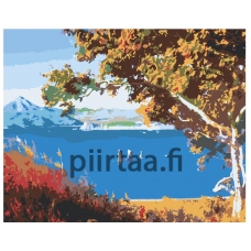 Maalaa numeroilla Z-Z9992