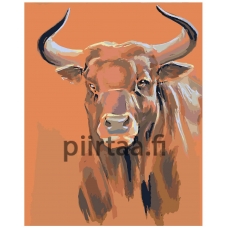 Maalaa numeroilla Z101100287