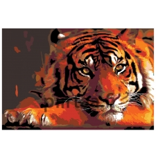 Maalaa numeroilla Z1795