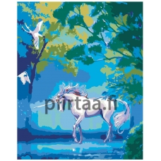 Maalaa numeroilla Z1826