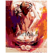 Maalaa numeroilla Z2469