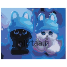 Maalaa numeroilla Z281119-1