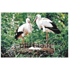 Maalaa numeroilla Z2858