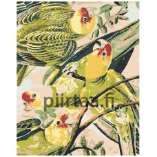 Maalaa numeroilla Z2971