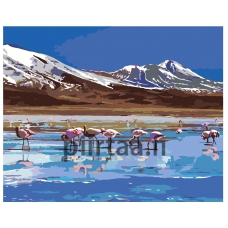 Maalaa numeroilla Z3135