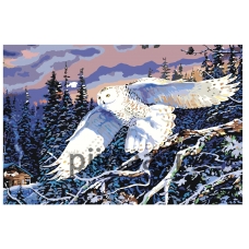 Maalaa numeroilla Z3175