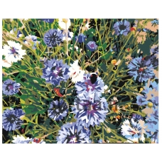 Maalaa numeroilla Z4120