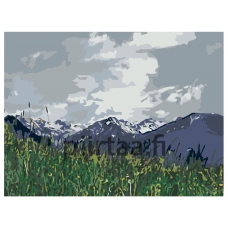 Maalaa numeroilla Z4693