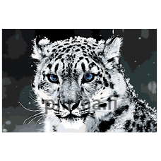 Maalaa numeroilla Z49772