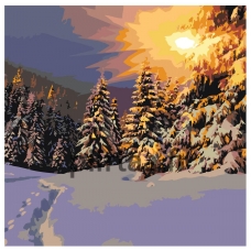 Maalaa numeroilla Z5373