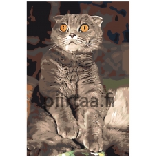 Maalaa numeroilla Z5700