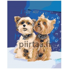 Maalaa numeroilla Z5745