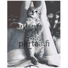 Maalaa numeroilla Z6698