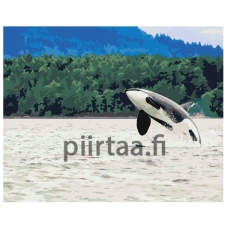 Maalaa numeroilla Z68501