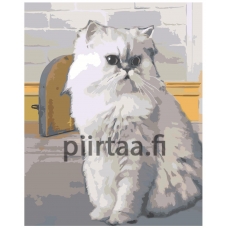 Maalaa numeroilla ZAI496028-4050