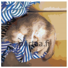 Maalaa numeroilla ZAI498578v2