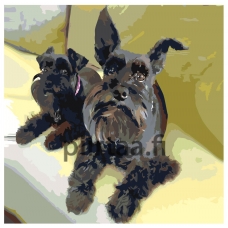 Maalaa numeroilla ets226v3-4040