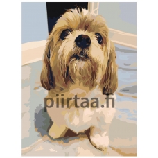 Maalaa numeroilla ets234-3040