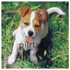 Maalaa numeroilla ets350-4040