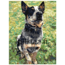 Maalaa numeroilla ets357-2-3040