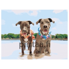 Maalaa numeroilla ets359-3040