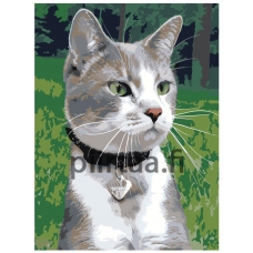 Maalaa numeroilla ets360-2-3040