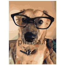 Maalaa numeroilla ets360-3040