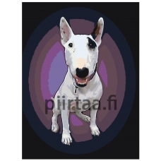 Maalaa numeroilla ets446-3040