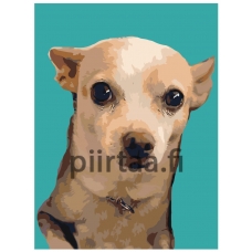 Maalaa numeroilla ets454v2-3040