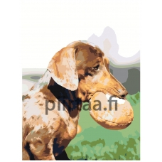 Maalaa numeroilla ets475-8-3040