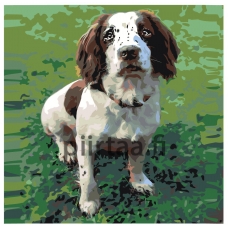 Maalaa numeroilla ets480-2v2-30401