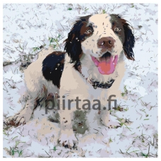 Maalaa numeroilla ets480-3040