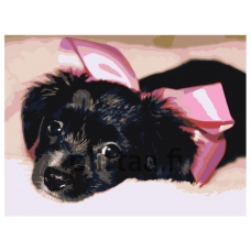 Maalaa numeroilla ets485-3040