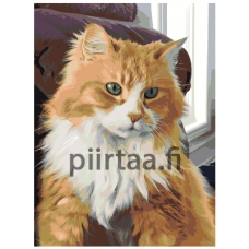 Maalaa numeroilla ets489v2-3040