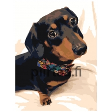 Maalaa numeroilla ets500-30401