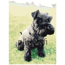 Maalaa numeroilla ets506-2-30401