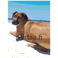 Maalaa numeroilla ets506-30401